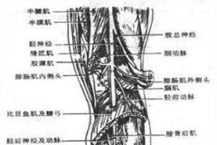 肌腱损伤术后护理有哪